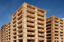 Stock Up On New Pallets